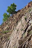 В 1997 році 772 гектари флористичного заказнику загальнодержавного значення "Чорна гора" стали частиною Карпатського біосферного заповідника