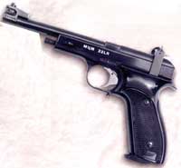 Закарпаття: У центрі Хуста знайшли "нічийний" пістолет