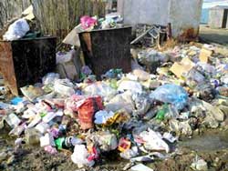 Ужгород: По чім сміття для народу?