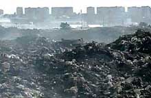 Закарпаття: У Мукачеві збудують сміттєсортувальний завод вартістю 600 тисяч євро