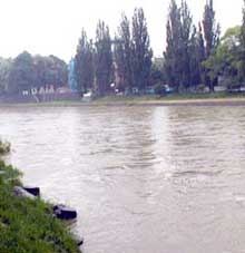Закарпаття: Через сильні дощі прогнозується підняття рівня води в річках