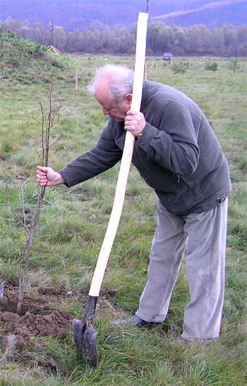 Михайло Кічковський садить "своє" дерево на Красному полі