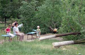 На дитячому майданчику зрубано дерева