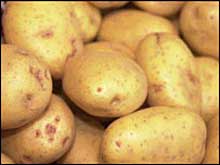"Віват картоплі!", або Картопляний фестиваль на Закарпатті