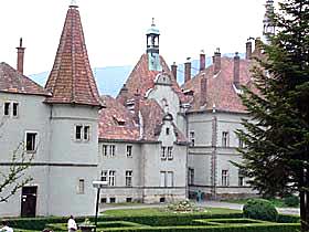 Закарпаття: У ставку замку графа Шенборна цвіте лілея
