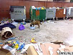 В Ужгороді вчитимуться, як роздільно сортувати сміття
