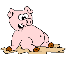 Поголів’я свиней на Закарпатті збільшилось на 101,2 відсотка