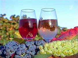 Скуштуйте закарпатського вина 8 Березня в угорськомовному Берегові 