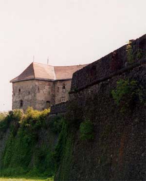 Страж міста — Ужгородський замок