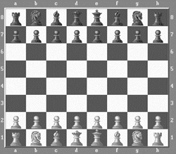 Шаховий турнір "Берегово-Опен" відбувся на Закарпатті