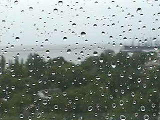 Погода на Закарпатті на найближчий період: дощі