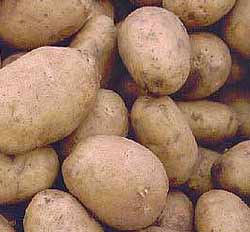 Главным героем этнофестиваля на Закарпатье стал картофель, который гуцулы называют репой