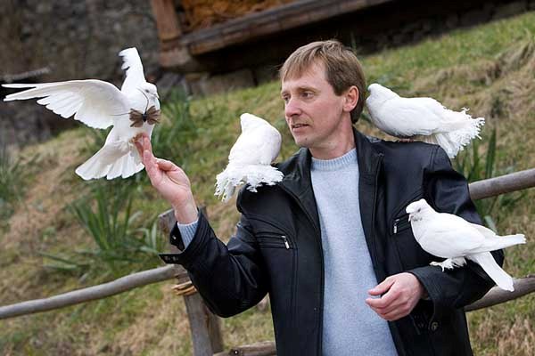 Голубівник Ігор Олексин навчив білих птахів приносити радість молодятам