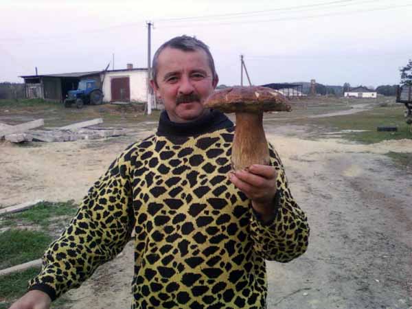 Закарпатець-заробітчанин знайшов на Полтавщині понад кілограмового білого гриба