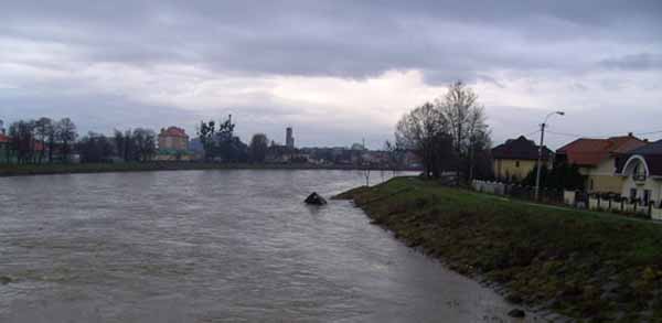 Води Латориці почали підтоплювати Мукачево