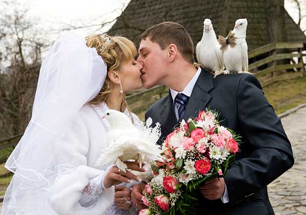 Любовь пары, на чьей свадьбе побывали волшебные голуби, будет прочной и счастливой