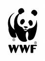 В Ужгороде стартовал инфотур Всемирного фонда природы (WWF)
