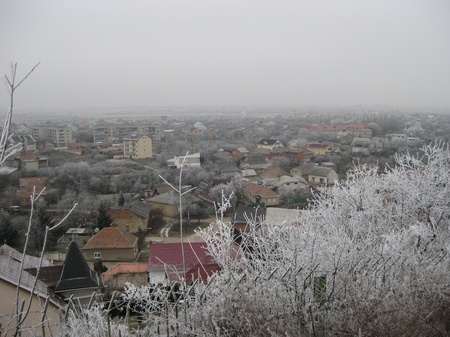 Вид з Замкової гори на місто Мукачево  