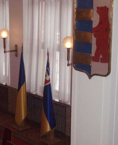 Принятый сегодня на сессии флаг Закарпатья недвусмысленно утверждает украинскость края (ФОТО)