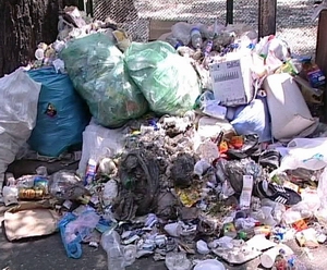 Закарпатье: На Ужгородщине ведут войну с мусором