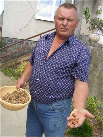 Иван Федак из села Тарнавци Ужгородского района Закарпатья из 250 кустов фундука в прошлом году собрал больше центнера орехов