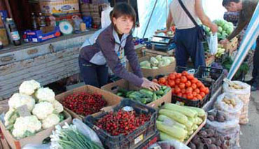 В Черновцах на рынках появились помидоры из Закарпатья