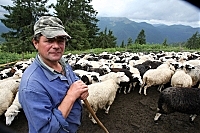 Закарпатская школа овцеводов приглашает учеников (ФОТО)