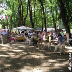 В Ужгороде в шестой раз прошла Международная выставка собак (ФОТО)
