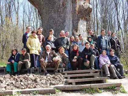 Старейшее дерево Украины растёт на Закарпатье и имеет более 9 метров в периметре и 1200 лет