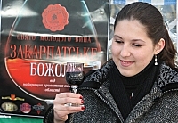 Программа фестиваля праздника молодого вина "Закарпатское божоле" в Ужгороде