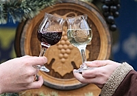 В этом году в ужгородском фестивале вина "Солнечный напиток" примут участие виноделы из Одессы, Венгрии и Словакии