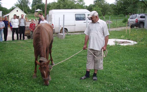 Виктор Балога подарил закарпатской семье лошадь (ФОТО)