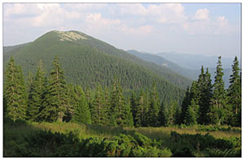 Екосистема Карпатських гір не забруднена?
