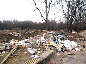Ужгородська райрада "дала добро" на створення СП зі збору та утилізації побутових відходів