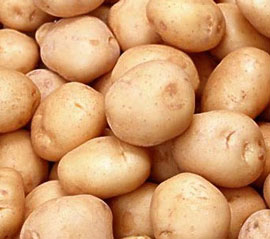 Закарпатський селекціонер вивів декілька сортів картоплі для вирощування в гірських умовах