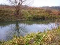 Закарпаття: На Берегівщині очистять водний канал Чаронда-Латориця