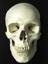 На Закарпатті знайшли череп людини, чий обезголовлений труп виявили ще в 2005-му році