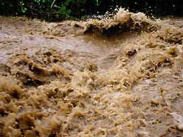Рівень води в річках Закарпаття піднявся більш як на 4 метри