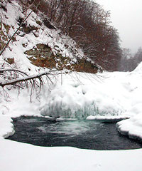 Гідрологічний режим річок Закарпаття станом на ранок 30 грудня