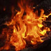 На Закарпатті під час пожежі ледь не згоріли двоє малолітніх дітей