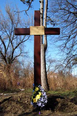 В Ужгороді "Свобода" встановила хрест на могилі карпатських січовиків (ФОТО)