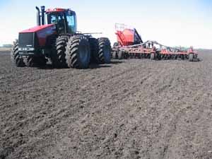Cівба ярих зернових на Закарпатті завершується, розпочинається садіння картоплі