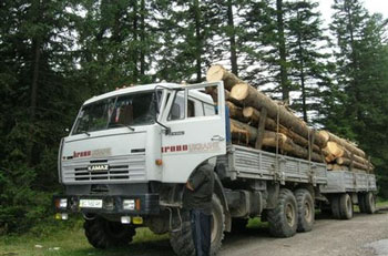 На Закарпатті міліціонери затримали вантажівки з побутовою технікою і лісом "сумнівного походження"