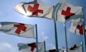 Ужгородська організація Червоного хреста переобрала голову