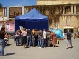 В акції "Інформаційний день центру зайнятості" взяли участь 5000 ужгородців