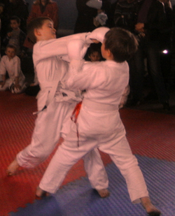 У Мукачеві відбувся чемпіонат Закарпаття з карате JKS-2011 (ФОТО)
