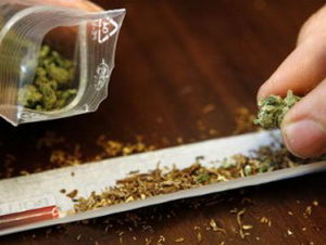 На Закарпатті ліцеїст намагався обміняти марихуану на "мобілку" 