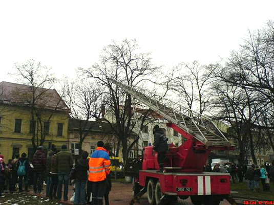 У центрі Ужгорода дві пожежні машини рятували кота на дереві (ФОТО)