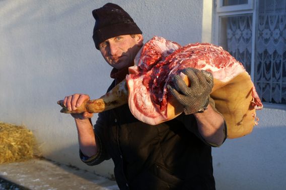 Різати "фестивальних" свиней на Закарпатті будуть українці, угорці та серби 