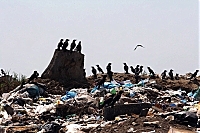 На Закарпатті 120 сіл не мають власних місць видалення відходів